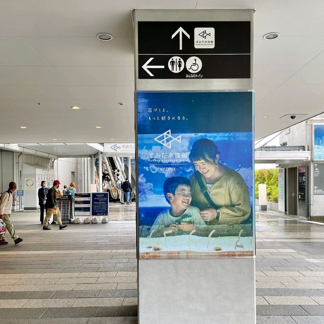 すみだ水族館といえば…？