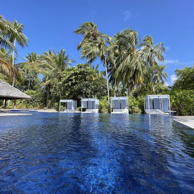 W Maldives infinity pool