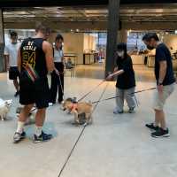Pet Friendly南豐紗廠