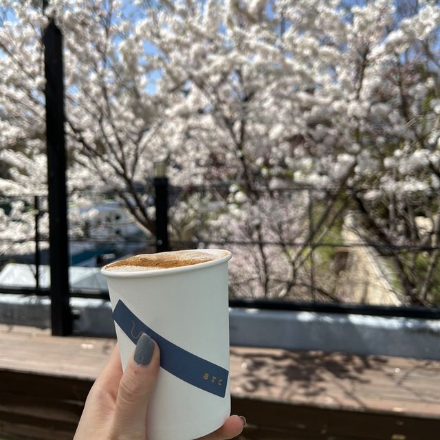 韓国/ソウル【景福宮】絶景♡ソウルの四季を感じられるビューカフェ🌳