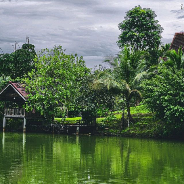 ระเบียงบึงฟาร์มวิลเลจ  คาเฟ่&ที่พักริมน้ำ อ.ควนโดน