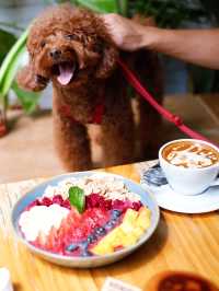 西營盤型格悠閑Cafe