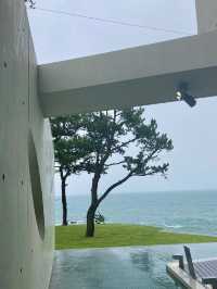 바다뷰 예쁜 카페: 부산 웨이브온커피🌊