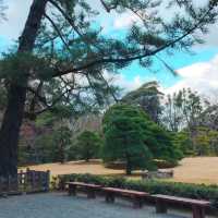 【日本 三重】一生必去一次 令人尊敬的伊勢神宮