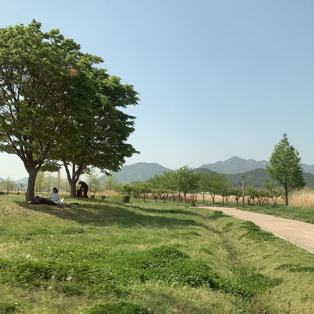 셀프웨딩, 캠핑 장소 추천! 양산 황산공원
