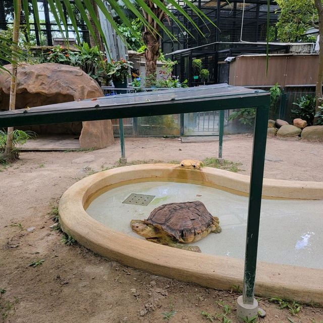公園特色，歴史