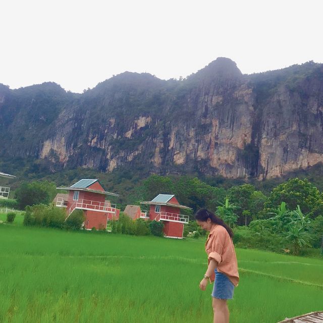 ภูผาม่านโฮมสเตย์ อ.ภูผาม่าน จ.ขอนแก่น