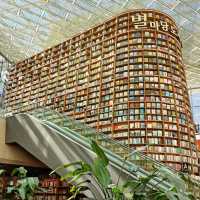 Cool Relaxing Starfield Library 