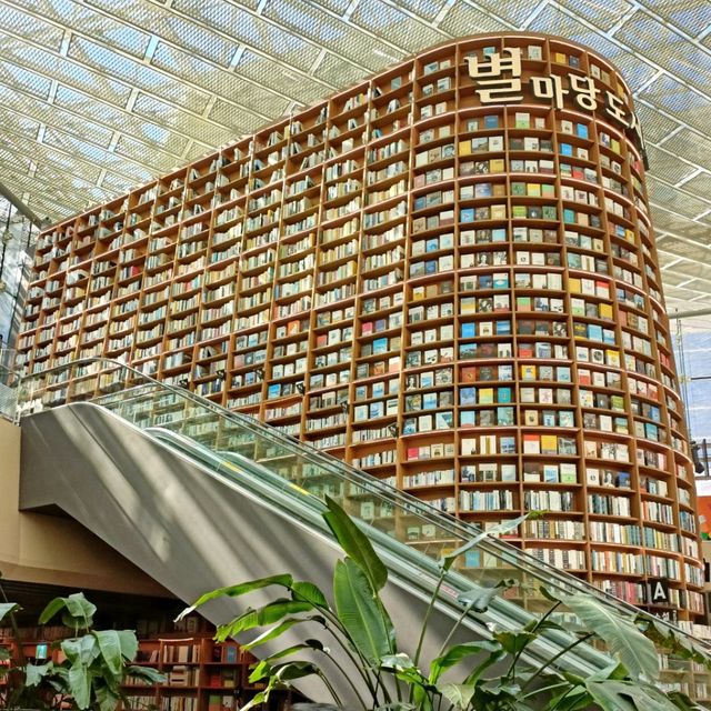 Cool Relaxing Starfield Library 
