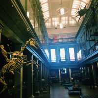 Australian Museum in Sydney