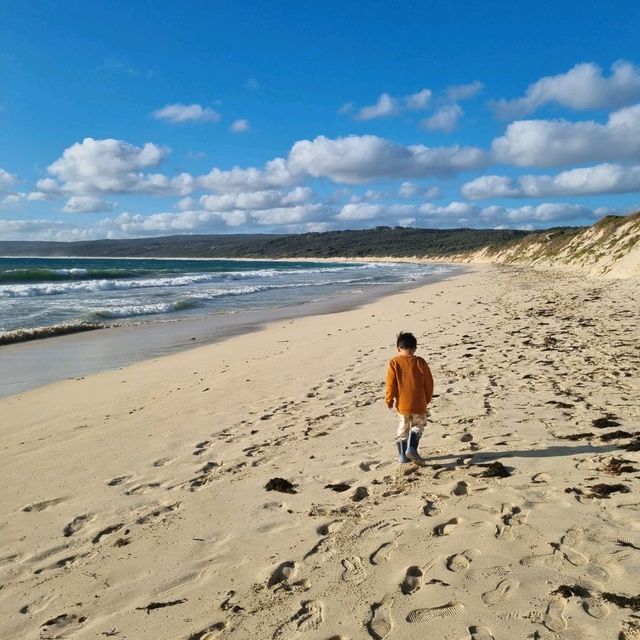 Beautiful Hamelin Bay 