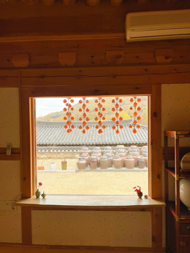 알록달록 예쁘게 물든 은행과 단풍을 볼 수 있는 울산 다담한옥🏠