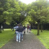 Yering 