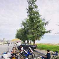 ร้านไม่มีชื่อ. ริมหาดชลาทัศน์ สงขลา