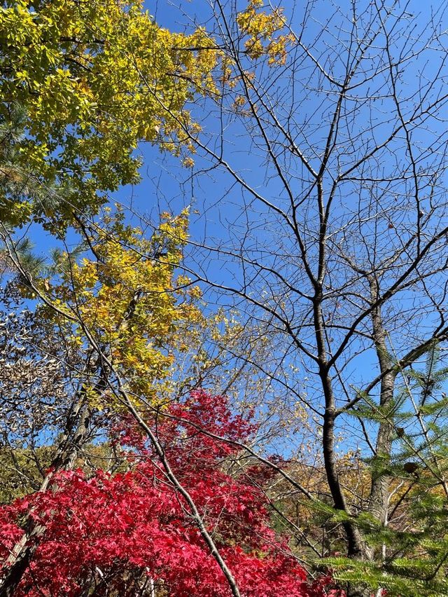곤지암 단풍여행 :: 화담숲🍁