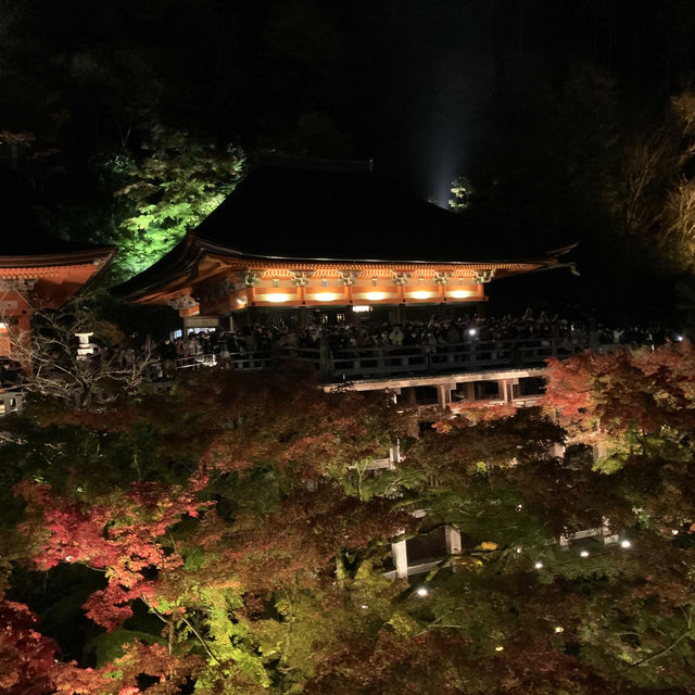 京都紅葉2022  清水寺のライトアップに圧倒される！