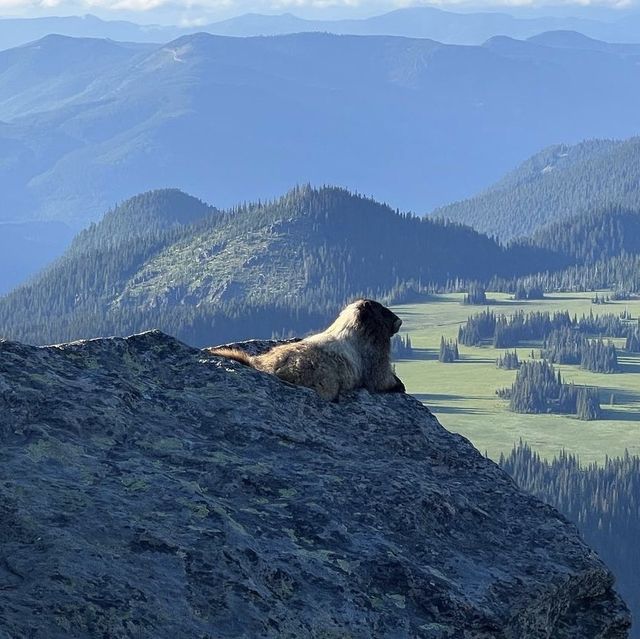 Mount Rainier National Park