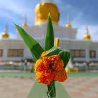 งานนมัสการพระธาตุนาดูน 
วันที่ 5-7 มีนาคม 2566