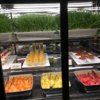 Hyatt dinner buffet 