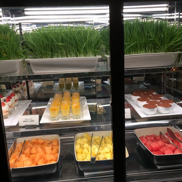 Hyatt dinner buffet 