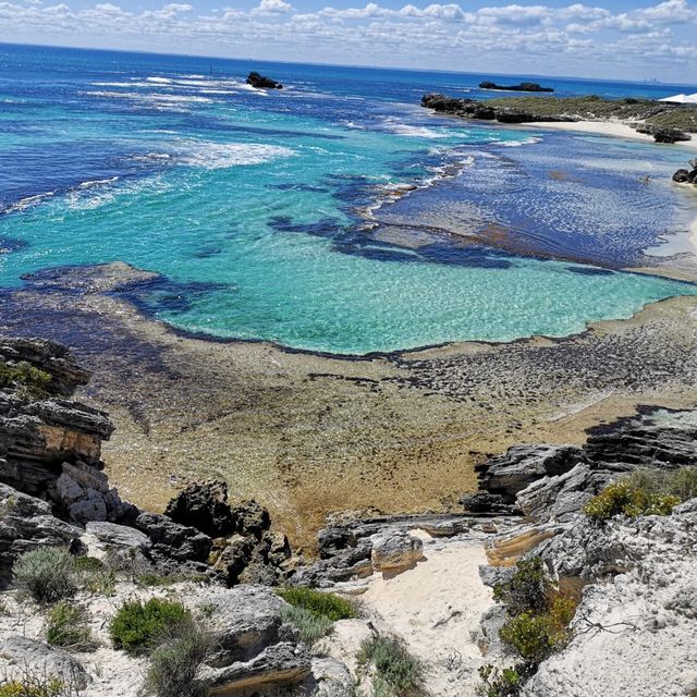 Rottnest island 