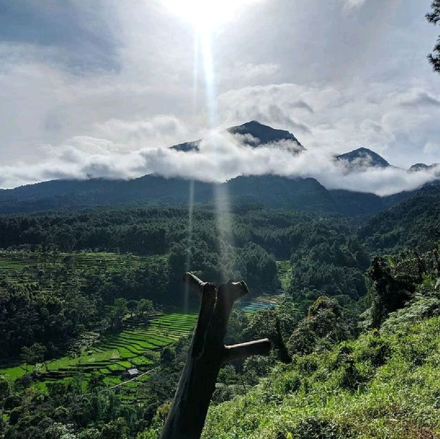 KABAYAN HILLS - BOGOR