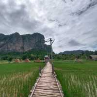 ภูผาม่านโฮมสเตย์ ที่พักกลางทุ่งนา วิวหลักล้าน