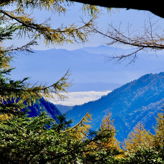 合戦尾根の登りで見かけた紅葉