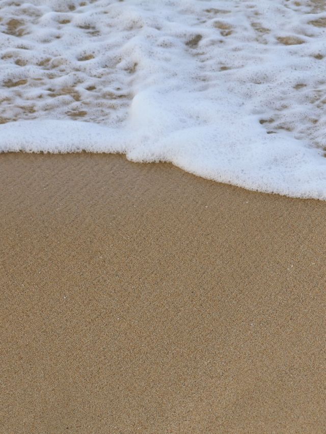 양양 오션뷰 카페 ‘솔티캐빈’ 🏖