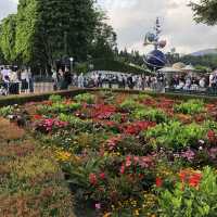 🏰迪士尼樂園賞花攻略🌺