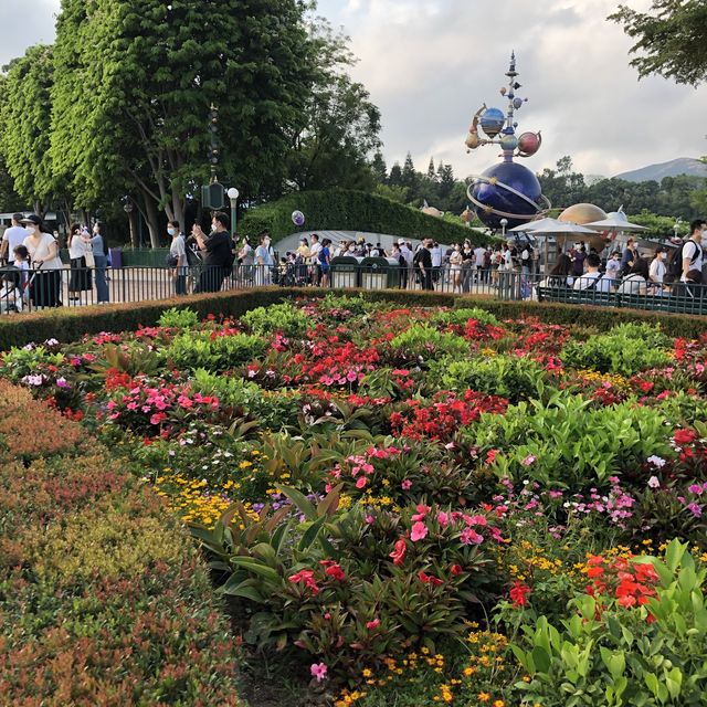 🏰迪士尼樂園賞花攻略🌺