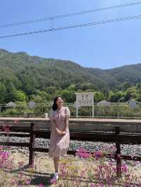 영화 ‘기적’의 명소 양원역 ✨