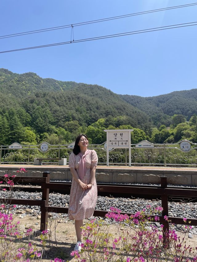영화 ‘기적’의 명소 양원역 ✨