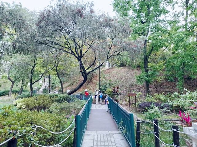 青衣賞花好地方