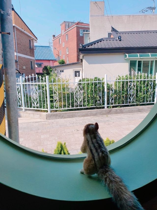 [수원 행리단길] 행궁동 카페 :: 카페모종, 숲 속 다람쥐집 컨셉