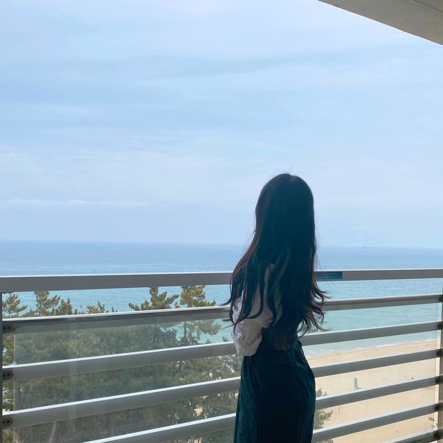 🏖강원도 삼척 호캉스는 쏠비치에서🏖