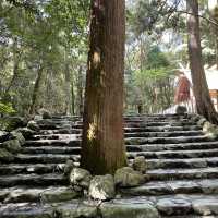 念願の伊勢神宮