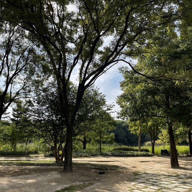 요즘 날씨에 딱, 멍 때리기 좋은 서울숲 공원