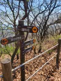 검단산 ⛰️ 하남 피크닉 명소