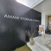 【奄美大島】AMAMI KYORAUMI KOUBOW