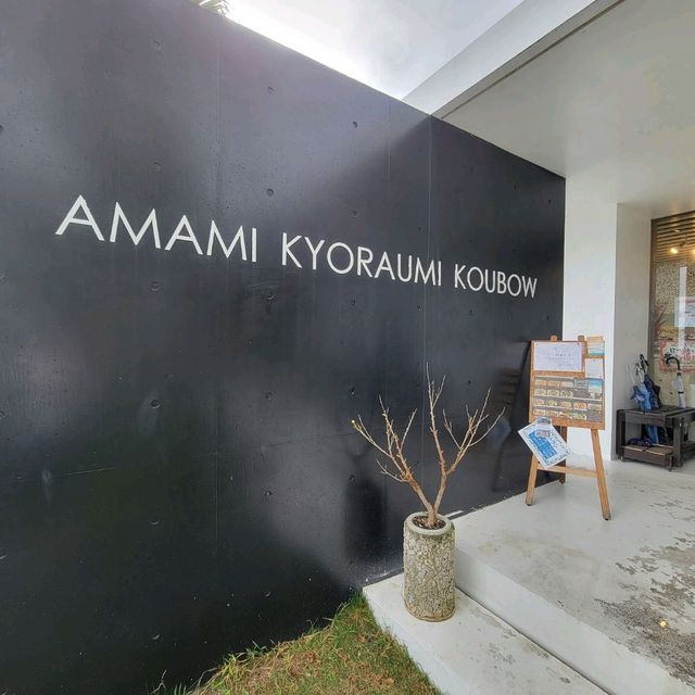 【奄美大島】AMAMI KYORAUMI KOUBOW
