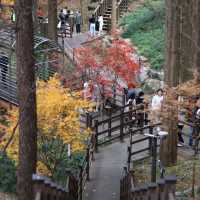 Daejeon Bridge