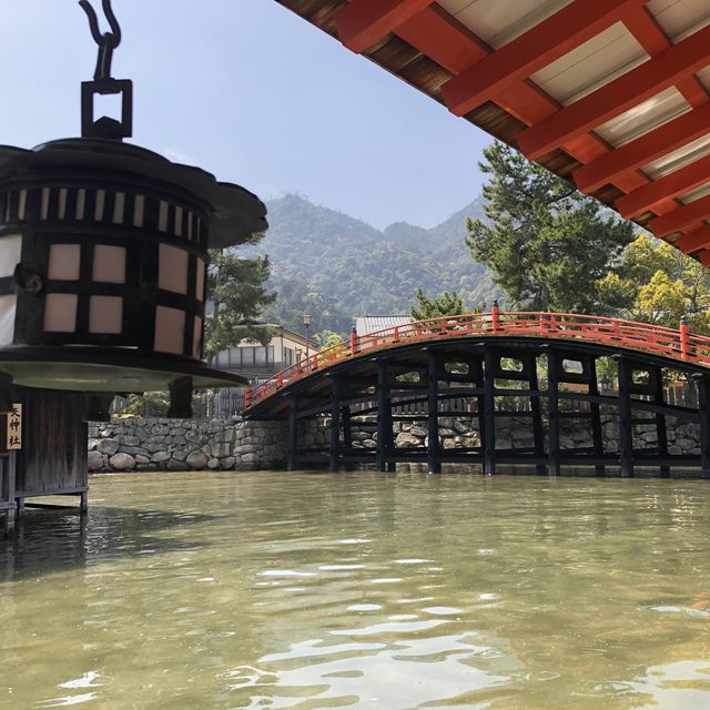 海中鳥居 嚴島神社⛩️