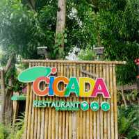 Unforgettable experience at Cicada Resort