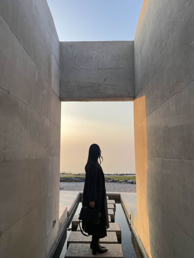 백수해안과 보리밭이 어우러진 영광카페,카페 보리