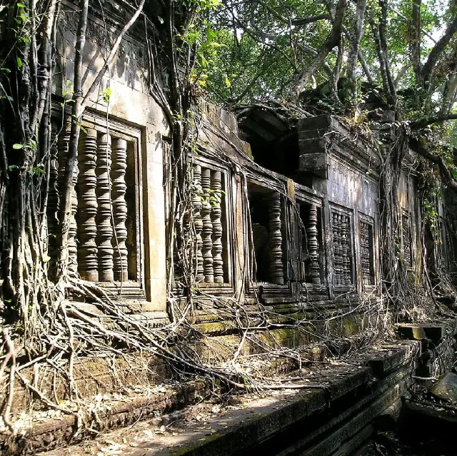 Beng Mealea Temple