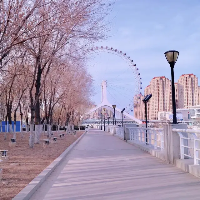 เทียนจินถิ่นเสน่หา 