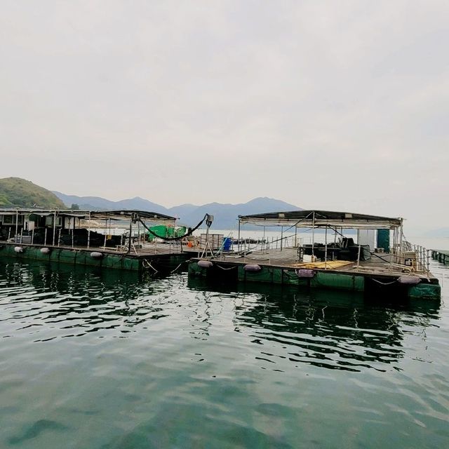 香港好去處 ～ 大岩咀 