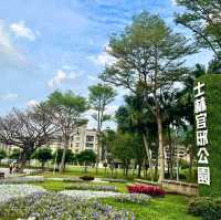 賞花必到的士林官邸玫瑰園🌹🥀