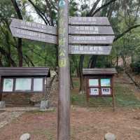 元荃古道遊